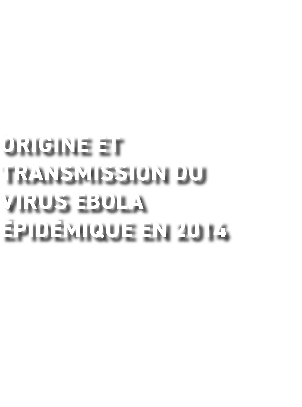 Origine et transmission du virus Ebola pid mique en 2014 