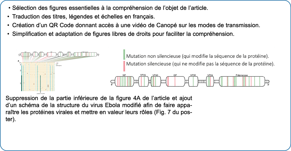• S lection des figures essentielles  la compr hension de l’objet de l’article. • Traduction des titres, l gendes et...