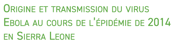Origine et transmission du virus Ebola au cours de l’ pid mie de 2014 en Sierra Leone