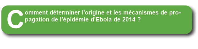 Comment d terminer l'origine et les m canismes de propagation de l’ pid mie d’Ebola de 2014 ?