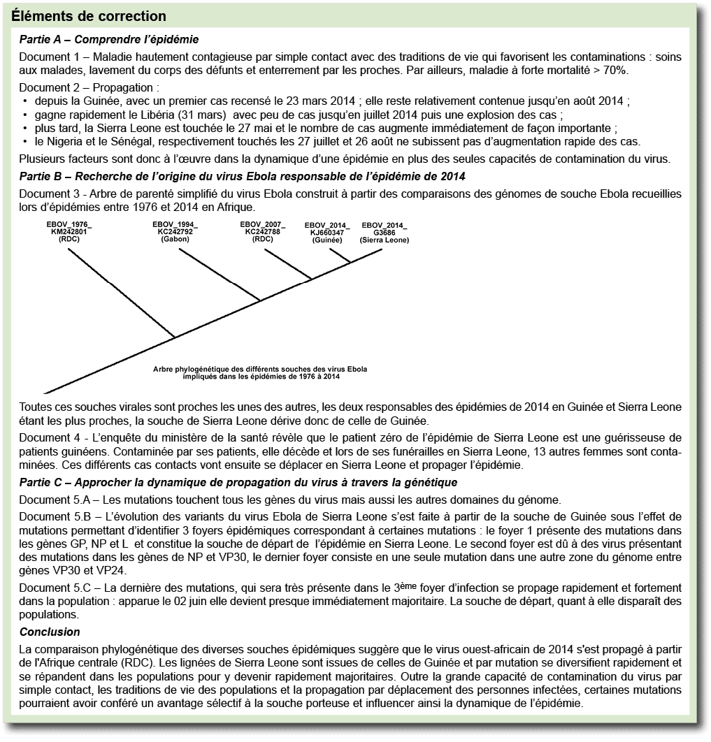  l ments de correction ￼