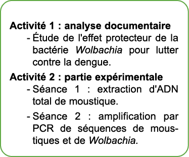  Activit 1 : analyse documentaire  tude de l'effet protecteur de la bact rie Wolbachia pour lutter contre la dengue....