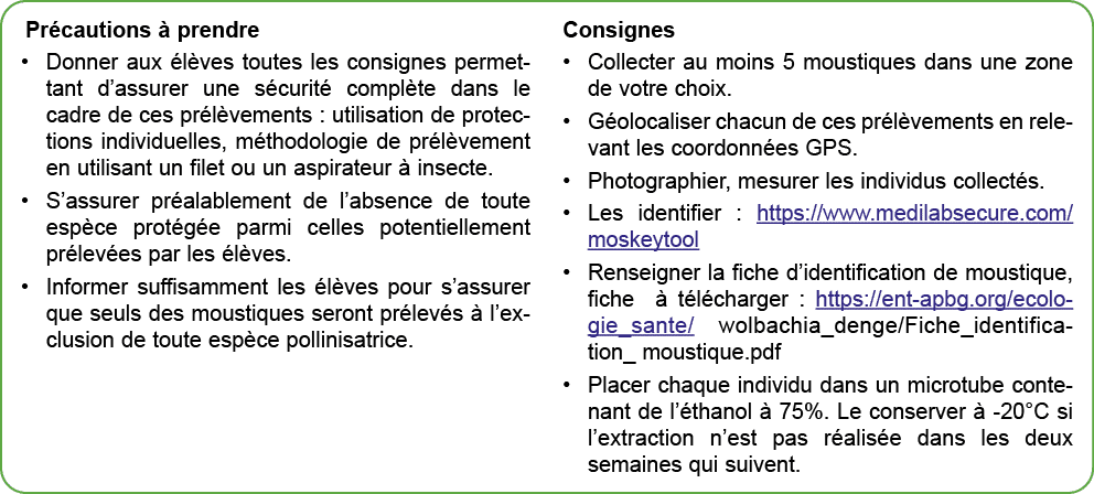Pr cautions  prendre • Donner aux  l ves toutes les consignes permettant d’assurer une s curit  compl te dans le cad...