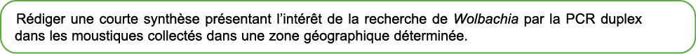 R diger une courte synth se pr sentant l’int r t de la recherche de Wolbachia par la PCR duplex dans les moustiques c...