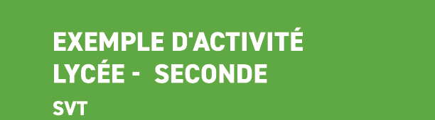  Exemple d'activit lyc e Seconde svt