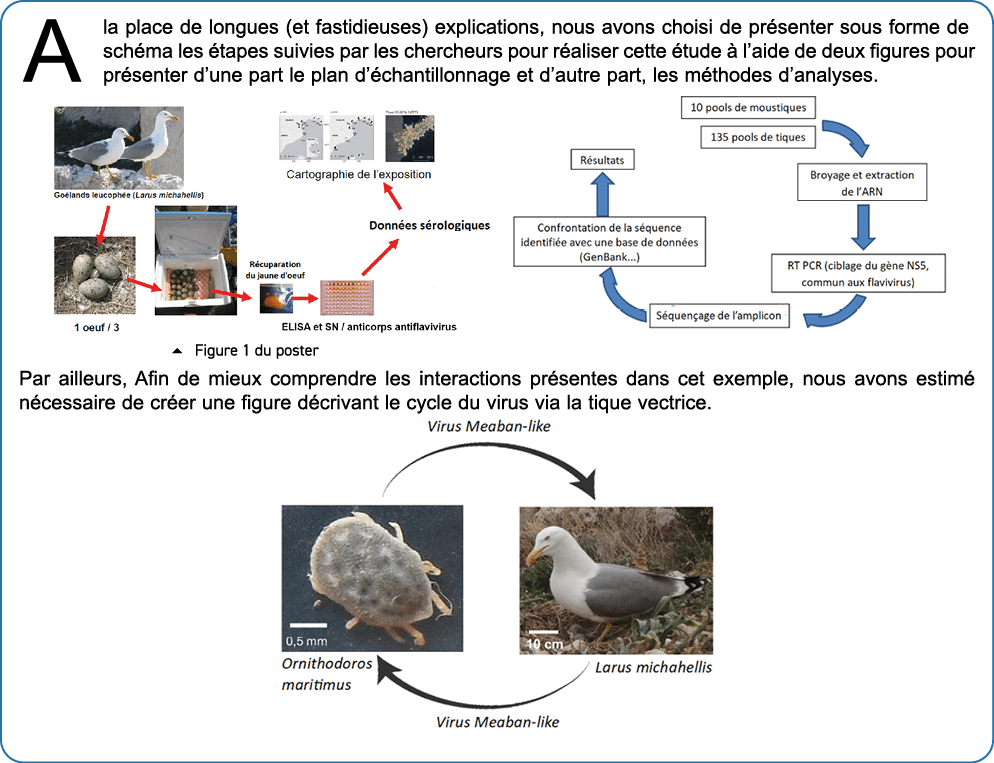 A la place de longues (et fastidieuses) explications, nous avons choisi de pr senter sous forme de sch ma les tapes ...