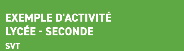  Exemple d'activit lyc e Seconde svt