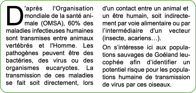 D'apr s l'Organisation mondiale de la sant animale (OMSA), 60% des maladies infectieuses humaines sont transmises en...