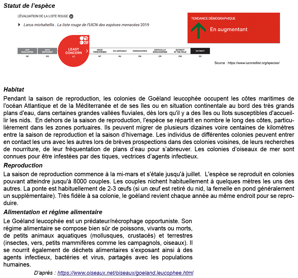 Statut de l’esp ce ￼ Habitat Pendant la saison de reproduction, les colonies de Go land leucoph e occupent les c tes ...