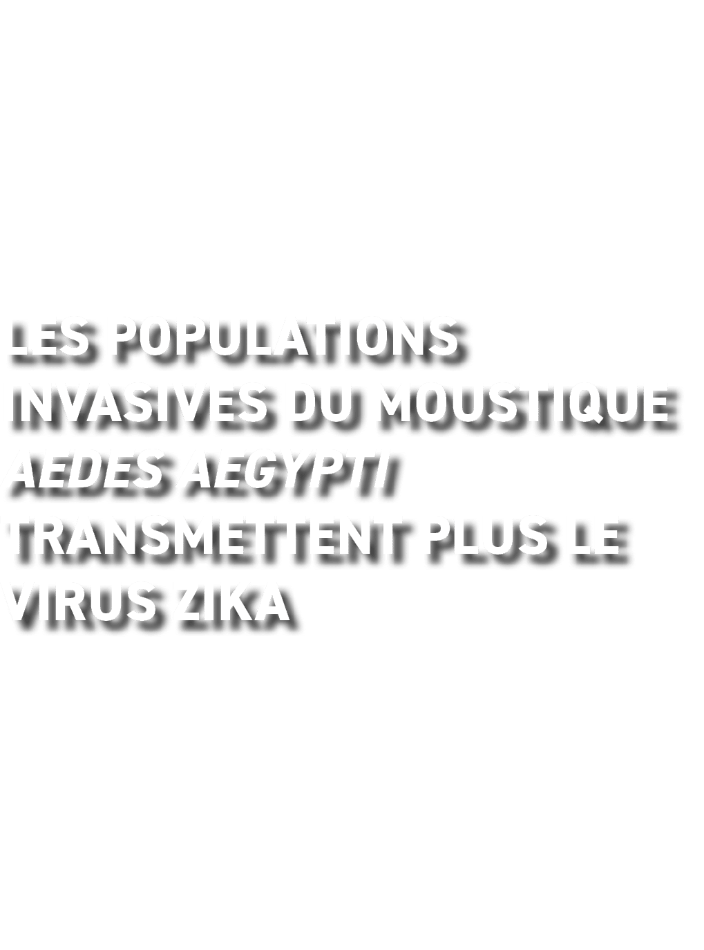 Les populations invasives du moustique Aedes aegypti transmettent plus le virus Zika