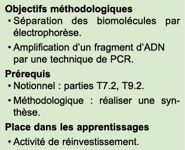 Objectifs m thodologiques • Séparation des biomolécules par électrophorèse. • Amplification d’un fragment d’ADN p...
