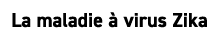 La maladie  virus Zika 