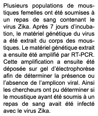 Plusieurs populations de moustiques femelles ont t  soumises   un repas de sang contenant le virus Zika. Apr s 7 jou...