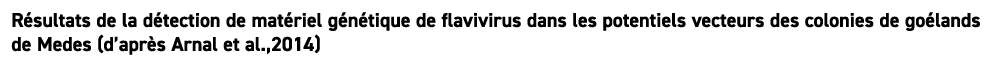 R sultats de la d tection de mat riel g n tique de flavivirus dans les potentiels vecteurs des colonies de go lands d...
