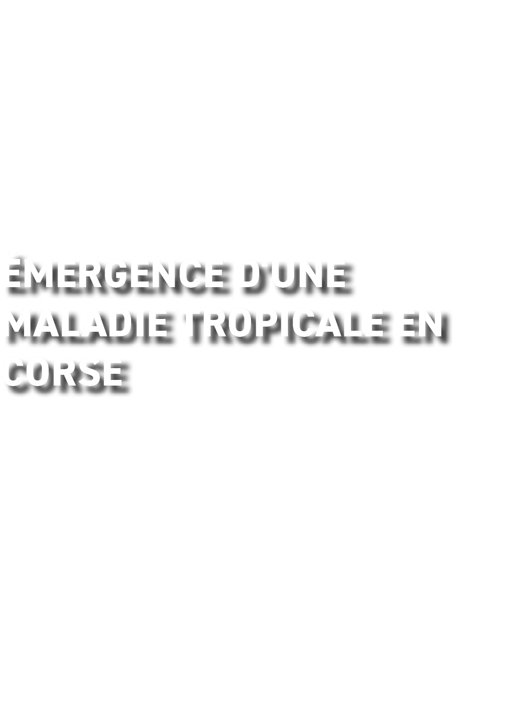  mergence d'une maladie tropicale en Corse 