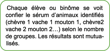 Chaque l ve ou bin me se voit confier le s rum d’animaux identifi s (ch vre 1 vache 1 mouton 1, ch vre2 vache 2 mout...