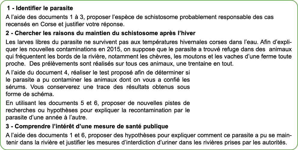 1 Identifier le parasite A l’aide des documents 1  3, proposer l’esp ce de schistosome probablement responsable des ...