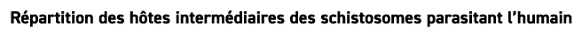 R partition des h tes interm diaires des schistosomes parasitant l’humain