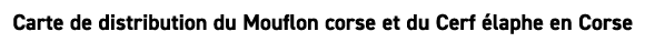 Carte de distribution du Mouflon corse et du Cerf laphe en Corse
