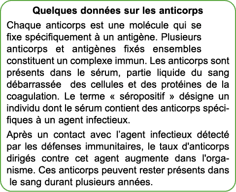 Quelques donn es sur les anticorps Chaque anticorps est une mol cule qui se fixe sp cifiquement  un antig ne. Plusie...
