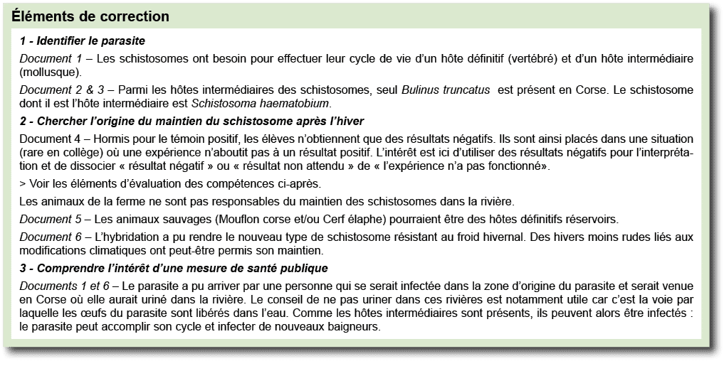  l ments de correction ￼