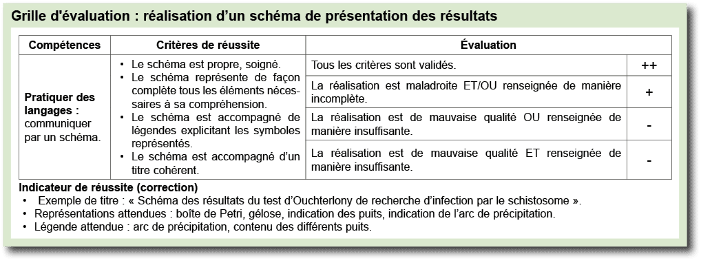 Grille d' valuation : r alisation d’un sch ma de pr sentation des r sultats ￼