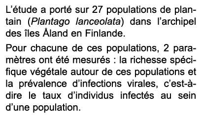 L’ tude a port sur 27 populations de plantain (Plantago lanceolata) dans l’archipel des  les  land en Finlande. Pour...