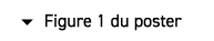  � Figure 1 du poster
