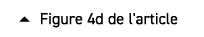  � Figure 4d de l'article