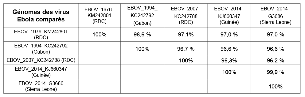 G nomes des virus Ebola compar s,EBOV_1976_KM242801 (RDC),EBOV_1994_ KC242792 (Gabon),EBOV_2007_ KC242788 (RDC),EBOV_...