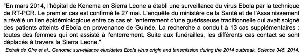 \“En mars 2014, l'h pital de Kenema en Sierra Leone a tabli une surveillance du virus Ebola par la technique de RT P...