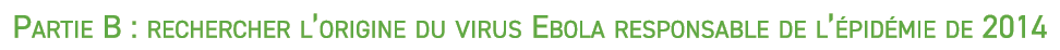Partie B : rechercher l’origine du virus Ebola responsable de l’ pid mie de 2014