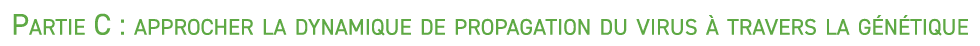 Partie C : approcher la dynamique de propagation du virus  travers la g n tique
