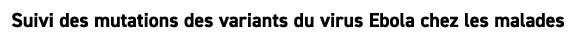 Suivi des mutations des variants du virus Ebola chez les malades