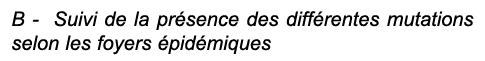 B Suivi de la pr sence des diff rentes mutations selon les foyers pid miques
