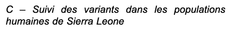 C – Suivi des variants dans les populations humaines de Sierra Leone