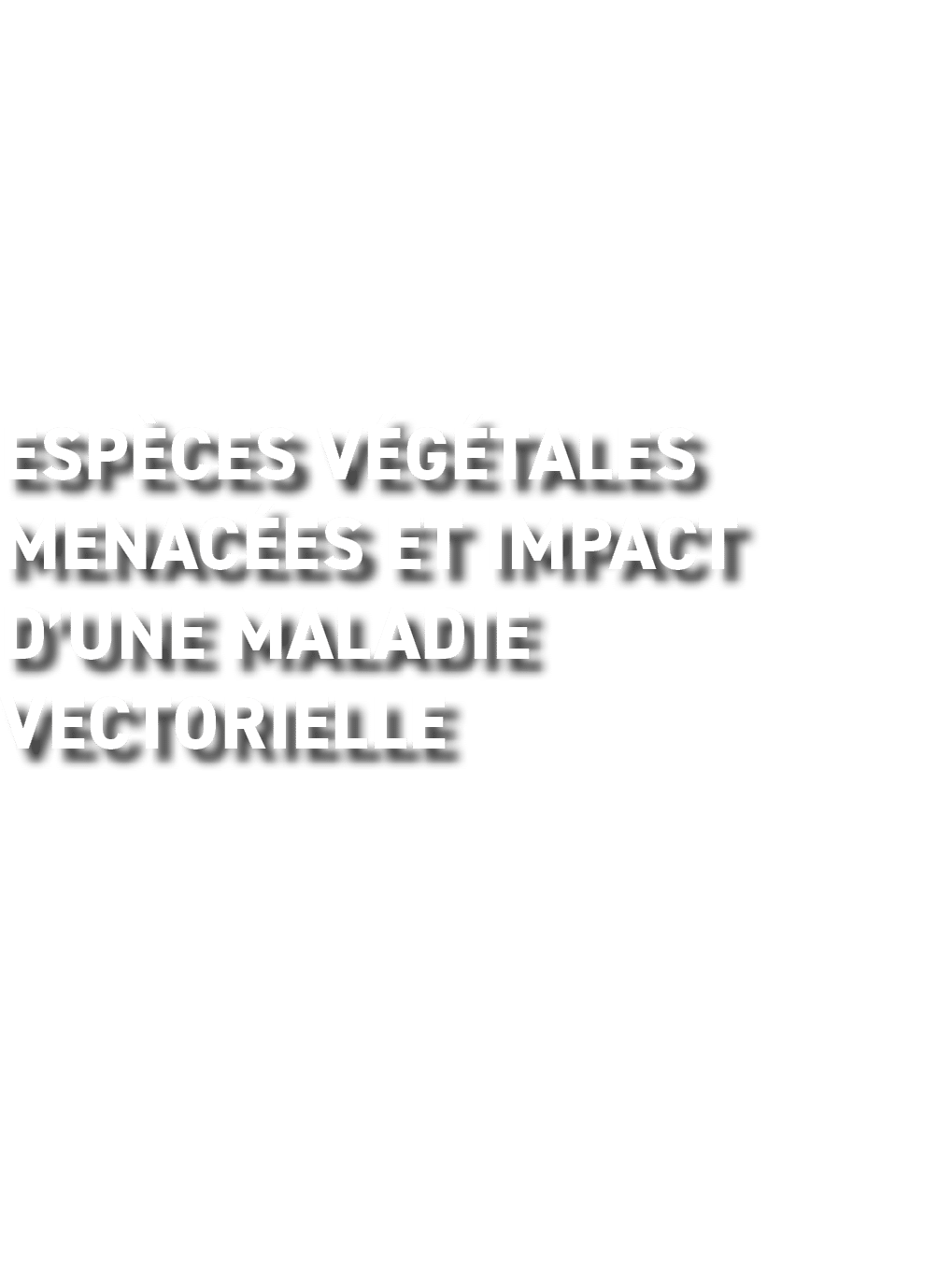 Esp ces v g tales menac es et impact d’une maladie vectorielle 