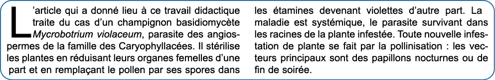 L’article qui a donn lieu   ce travail didactique traite du cas d’un champignon basidiomyc te Mycrobotrium violaceum...