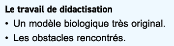 Le travail de didactisation • Un mod le biologique tr s original. • Les obstacles rencontr s.