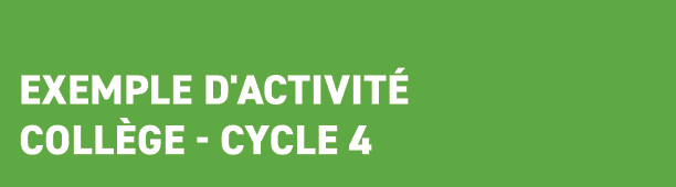  Exemple d'activit Coll ge cycle 4