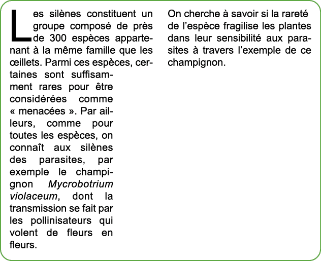 Les sil nes constituent un groupe compos de pr s de 300 esp ces appartenant   la m me famille que les  illets. Parmi...