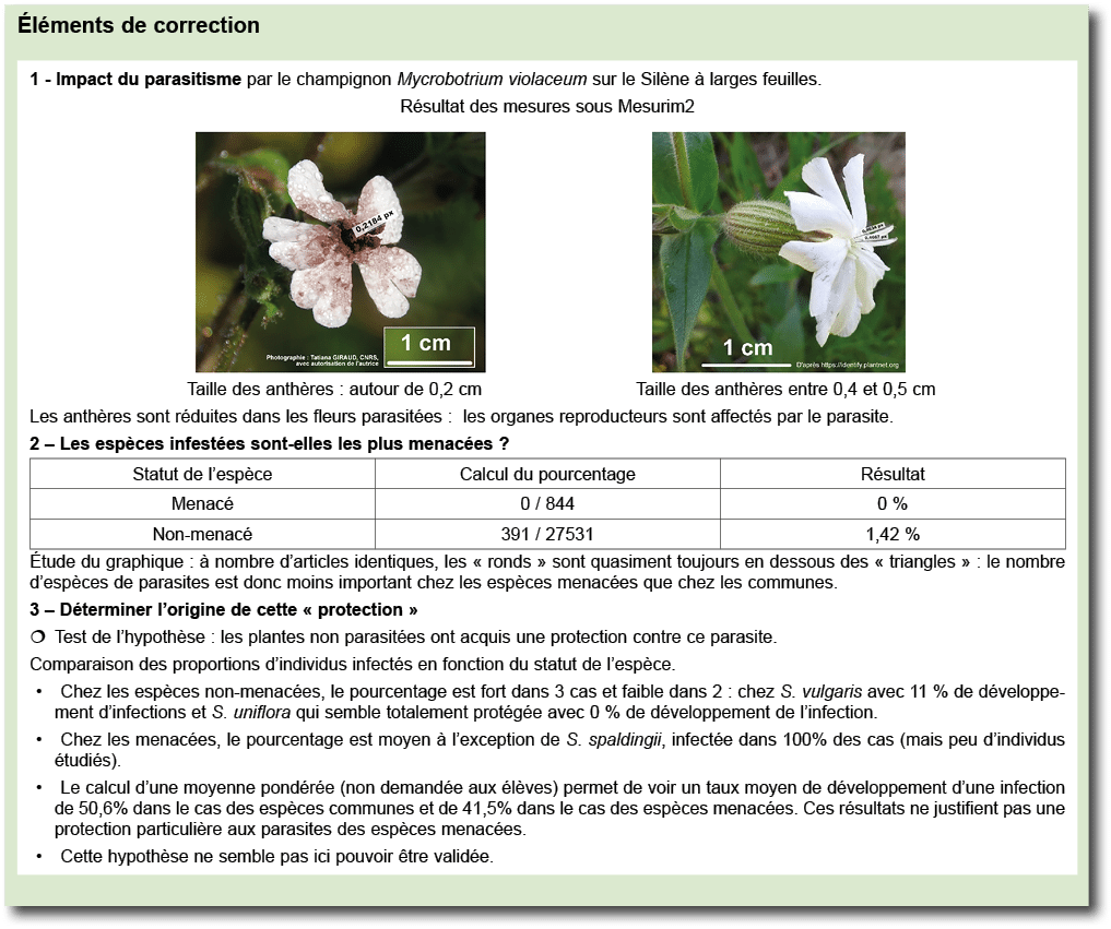  l ments de correction ￼