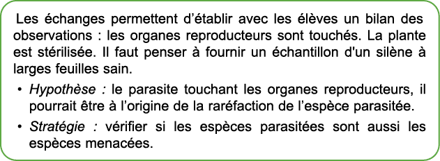 Les changes permettent d’ tablir avec les  l ves un bilan des observations : les organes reproducteurs sont touch s....