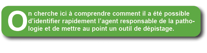 On cherche ici  comprendre comment il a  t  possible d’identifier rapidement l’agent responsable de la pathologie et...