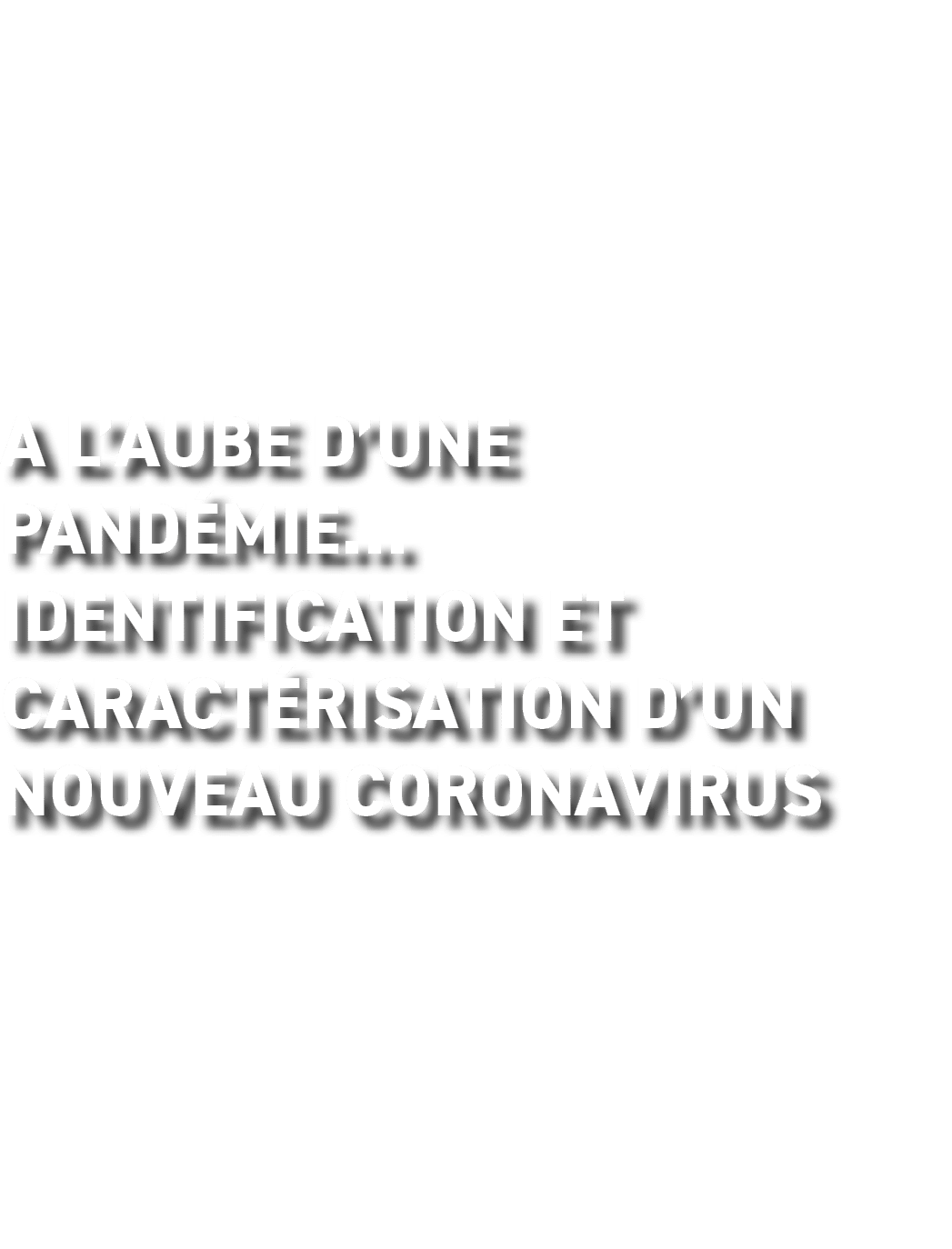 A l’aube d’une pand mie… Identification et caract risation d’un nouveau coronavirus
