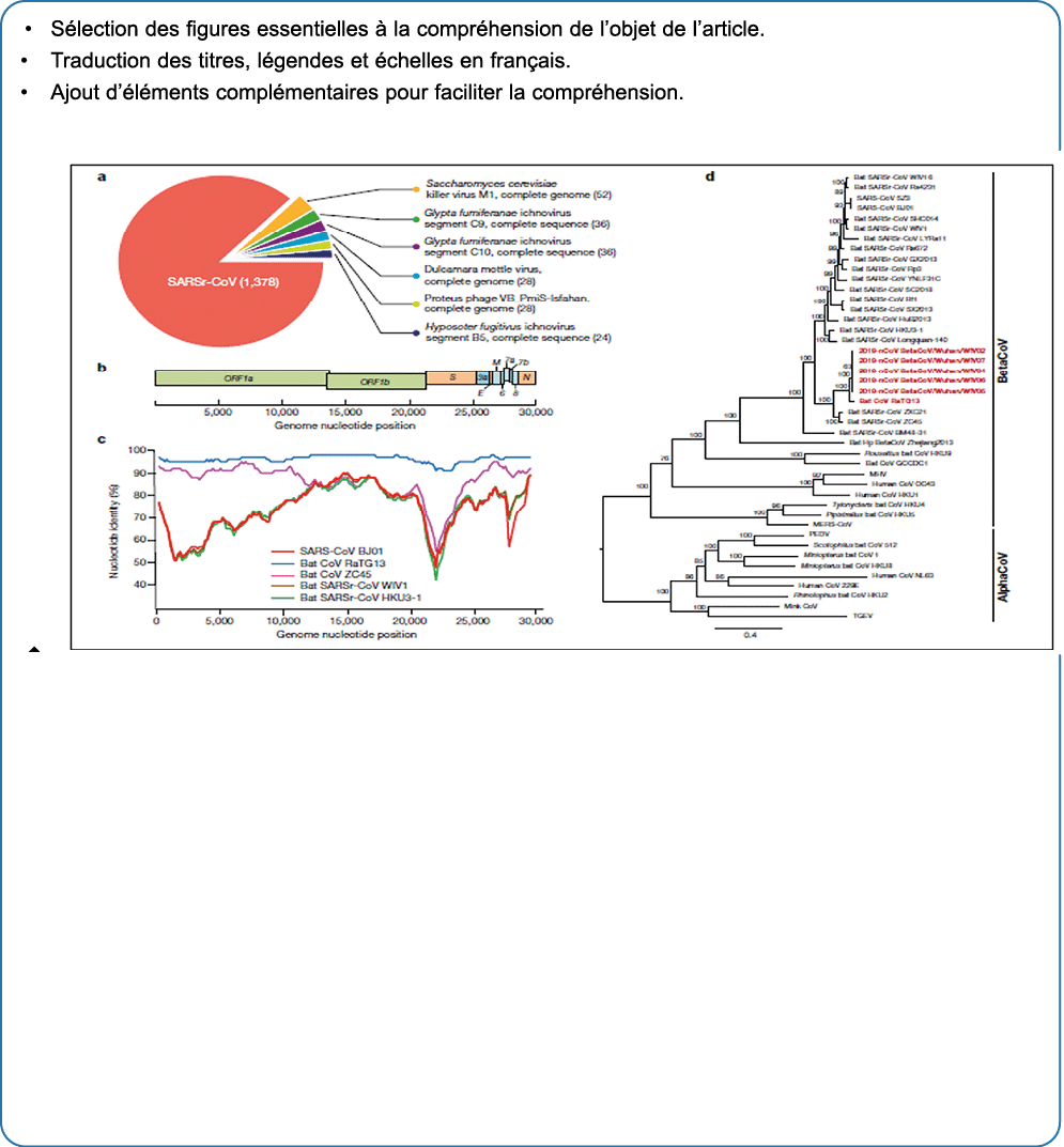 • S lection des figures essentielles  la compr hension de l’objet de l’article. • Traduction des titres, l gendes et...