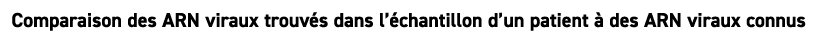 Comparaison des ARN viraux trouv s dans l’ chantillon d’un patient  des ARN viraux connus