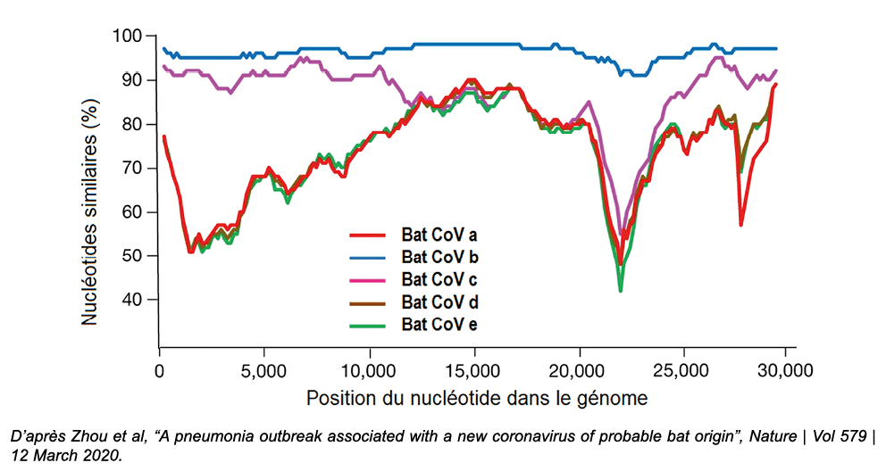 ￼ D’apr s Zhou et al, “A pneumonia outbreak associated with a new coronavirus of probable bat origin”, Nature | Vol 5...