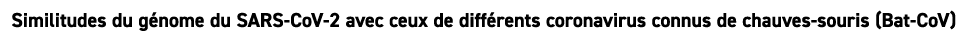 Similitudes du g nome du SARS CoV 2 avec ceux de diff rents coronavirus connus de chauves souris (Bat CoV)