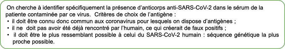 On cherche  identifier sp cifiquement la pr sence d’anticorps anti SARS CoV 2 dans le s rum de la patiente contamin ...